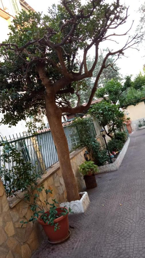 Apartamento Casa Diana Roma Exterior foto
